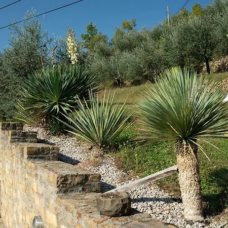 Truffel - Garten Tatil Evi *